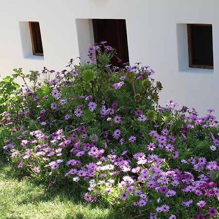 Agroturismo Can Fuster Sant Joan De Labritja Exterior foto